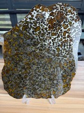 951.2g Imilac Pallasite Meteorite Rare Big Slice Size 315*252*4 With COA picture