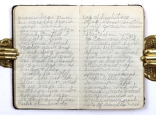 [HAWAII-CONGRESSIONAL PARTY] Historically Important Diary of 17yo O.Pringle 1915 picture