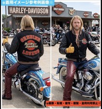 Rare Limited Edition Hard To Get Model Extreme Harley-Davidson Large Embroidered picture