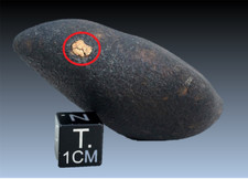 Gao-Guenie H5 chondrite ~ 99% fusion crusted ~ 88.4 grams ~ Odd Inclusion picture
