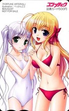Game/PC Related Gift Certificate, Erika Sendou/Shiro Togi