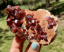 Vanadinite Large Bright Red Crystals On Matrix From Morocco   11.5 Cms picture