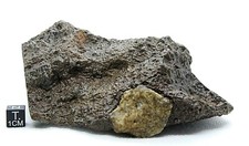 METEORITE TISSERLITINE 001 LUNAR FELDSPATHIC REGOLITHIC, A PIECE OF THE MOON  picture