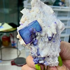 241G Natural Blue and white porcelain fluorite cubic mineral crystal sample/YGX picture