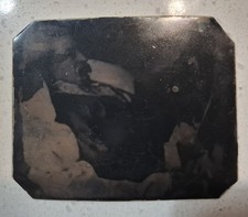 MARK TWAIN 2.5X3 INCHES   tintype Photo picture