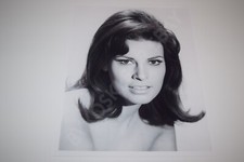 Raquel Welch pinup 8x10 glossy photo Busty Sexy Gorgeous Cleavage 1771 picture