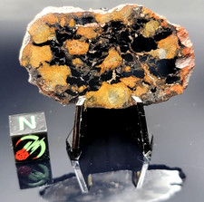 QUEBARADA CHIMBORAZO 001: 10.32g ULTRA RARE Full Meteorite Slice CBa 598g TKW picture