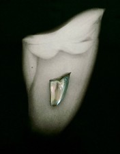 RARE 43 Karat Great White Shark Tooth Pearl from 12