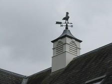 Photo A2 A weather vane in Melrose Melrose/NT5434 A puffed-up cockerel c2014 picture
