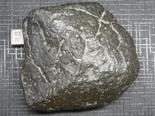 NWA 15937 Carbonaceous CO3.05 Chondrite - G741-001 - 236.0g MAIN MASS - 100 CLUB picture