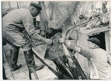 The Raie and the Fishermen Photo Photography v. 1950 Photographer Georges Bracher picture