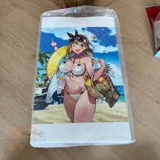 Reisalin Stout Swimsuit ver 1/4 DesignCOCO Atelier Ryza 2 Figure No Tariff picture