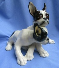 FRENCH BULLDOG AUSTRIA DOG PAIR 9