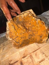 bonanza grade native gold ore from SWVA picture