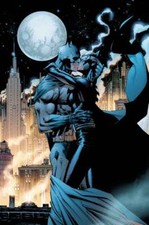 JIM LEE rare KISSING THE KNIGHT giclee PAPER signed BATMAN CATWOMAN Hush COA  picture