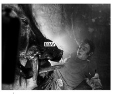 RAZORBACK 1984 HORROR MOVIE PHOTO AUSTRALIAN OUTBACK RUSSELL MULCAHY MONSTER picture