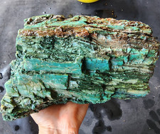 6.88 lbs (3.12 kg) Collawood, Colla Wood, Opalized Petrified Wood Rough, Fossil picture