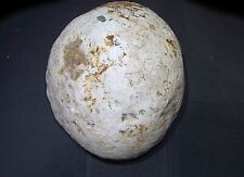 Possible Dinosaur Embryo Egg Fossil - Found at Riggs Hill, Colorado - Unique picture