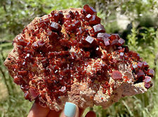 Vanadinite Large Bright Red Crystals On Matrix From Morocco   15.0 Cms picture