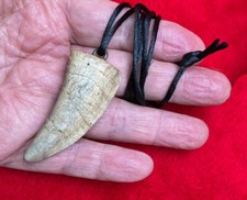 2 3/8 Inch Tyrannosaurus rex Serrated Tooth REPLICA Necklace Pendant #409 picture