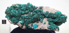 DIOPTASE WULFENITE Crystal Mineral Specimen Cluster Green Large Museum Quality picture
