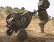  Maroom Dolphin Wild Goose hauler for military hunting hiking and game carrying picture
