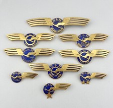9) RARE DLH (Deutsche Lufthansa) Entire Flight Crew Wing German Airline Wings picture