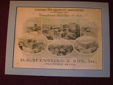 Yuengling BEER POSTER 100 years old picture