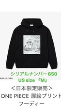 Lacoste Men Collaboration Dress Hoodie Limited Edition VHTF Designer Collection picture