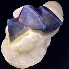 4245g Museum Quality Purple/Pink/Green Octahedral Fluorite Crystal on the Quartz picture