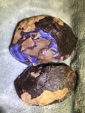 Australian Yowah Nut Dragon Egg Fossil RARE picture