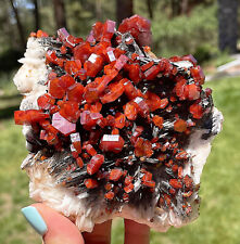 Vanadinite Large Bright Red Crystals On Black Barite Matrix Morocco 12 Cms picture