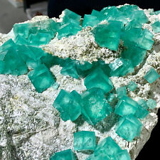 22LB Rare Transparent Green Cube Fluorite Mineral Crystal Specimen/Chin picture