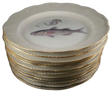 Set of 12 Antique 20thC KPM Berlin Porcelain Fish Scene Plate s Scenic German picture