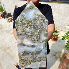 5.23LB Natural Aquatics Moss Agate slice Quartz Crystal Mineral Specimen decor. picture