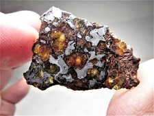 NEWEST NWA PALLASITE GORGEOUS GLOWING CRYSTALS NWA 14492 METEORITE 7.4 GMS picture