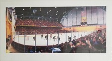 Mariucci Terrence Fogarty print Minnesota Golden Gophers vs North Dakota NHL picture