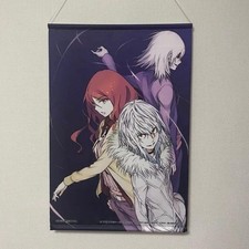 Japanese Toaru Index Tapestry Accelerator Mugino Kakine Dengeki 2013 Rare picture