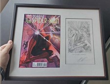 Alex Ross Spider-Man #1 75th Anniversary Pencils Cover Framed with Cover Print picture