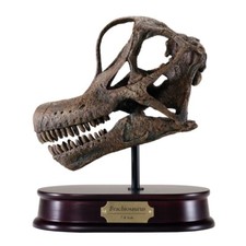 Brachiosaurus Dinosaur Skull Model 1/4 Scale Replica by DinoStoreus picture