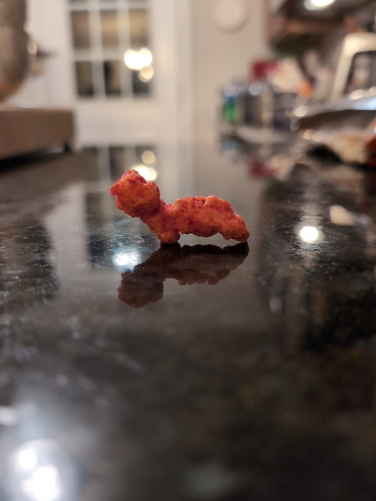 Once In A Lifetime Find Weiner Dog Cheeto W/ Distinct Features From Legs 2 Face Once In A Lifetime Find Weiner Dog Cheeto W/ Distinct Features From Legs 2 Face