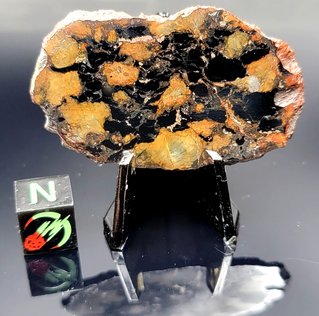 QUEBARADA CHIMBORAZO 001: 10.32g ULTRA RARE Full Meteorite Slice CBa 598g TKW QUEBARADA CHIMBORAZO 001: 10.32g ULTRA RARE Full Meteorite Slice CBa 598g TKW