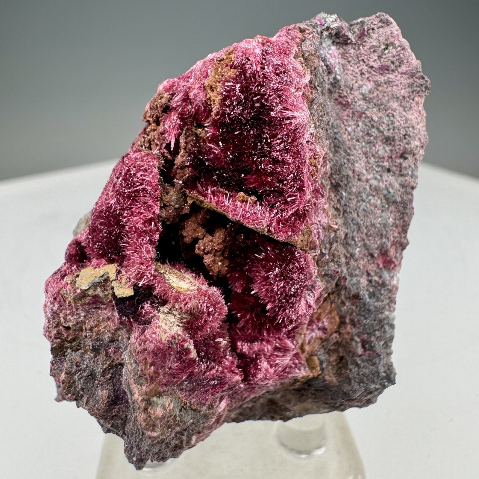 Fine Crystallized Erythrite: Sara Alicia Mine, Álamos Mun., Sonora, Mexico Fine Crystallized Erythrite: Sara Alicia Mine, Álamos Mun., Sonora, Mexico